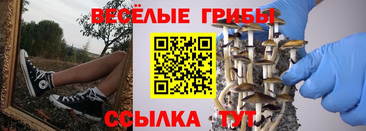 Псилоцибиновые грибы Psilocybine cubensis Коммунар