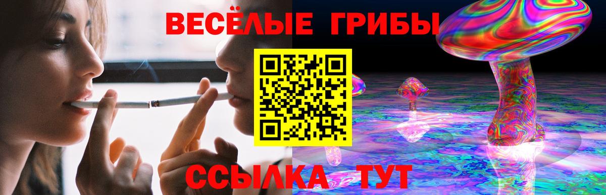 Галлюциногенные грибы Cubensis  Вход с VPN  Коммунар 